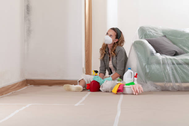 Reliable Mold Inspection contractor in Palmyra, NJ by WQB Mold Removal